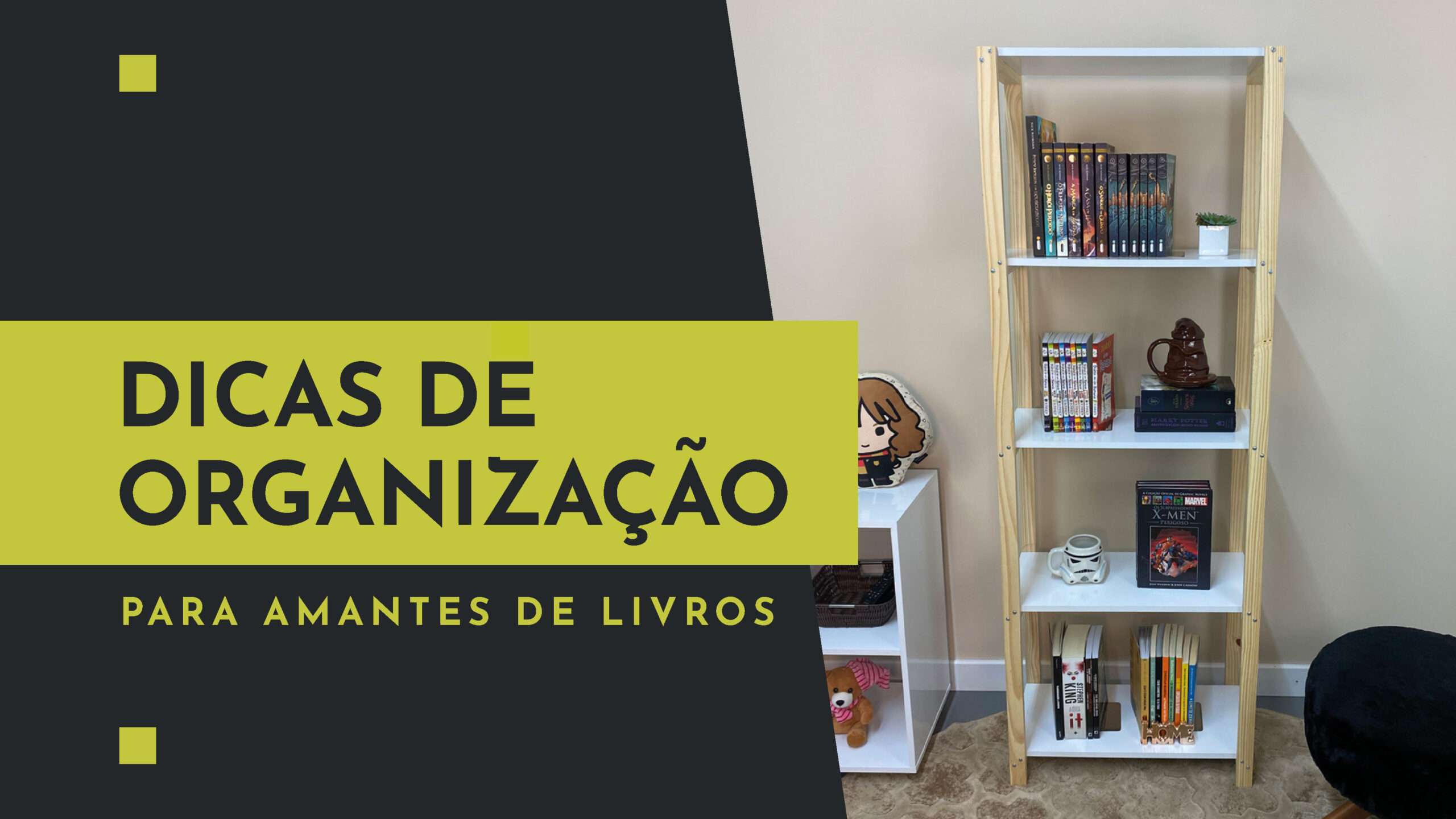 Dicas de organização para amantes de livros